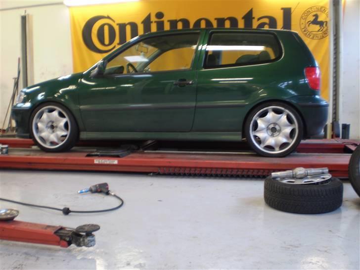 VW Polo 6N2 1,4 16V SOLGT billede 9