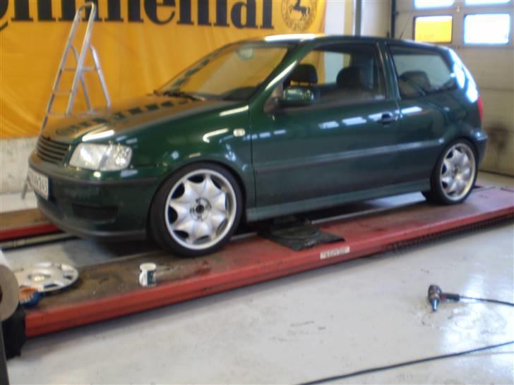 VW Polo 6N2 1,4 16V SOLGT billede 10