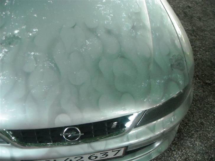 Opel vectra B 2.2 turbo (solgt billede 5