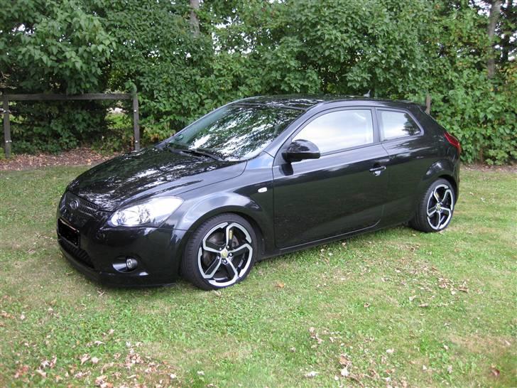 Kia pro_cee'd Sport (SOLGT) billede 1