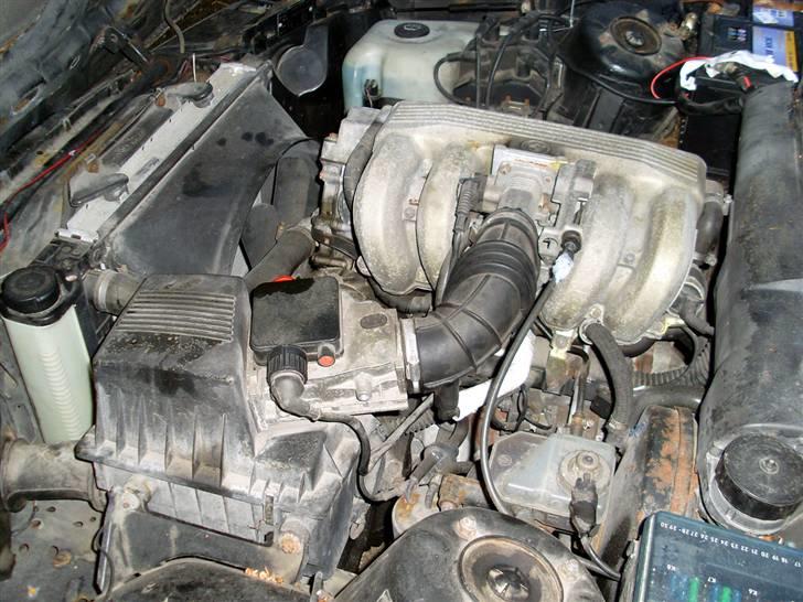 BMW E30 318is *Solgt* billede 10