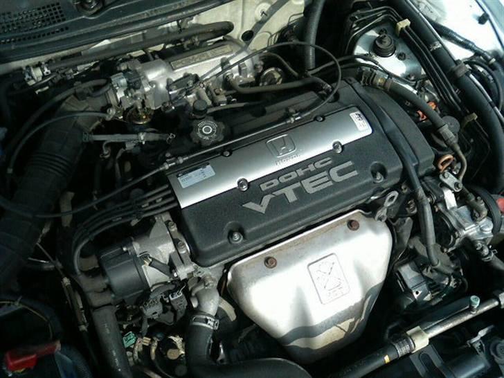 Honda Accord US Wagon SiR - Dejlig H22A - 2,2L VTEC - Spinner peferkt billede 5