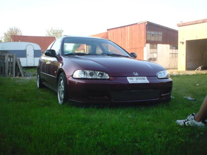 Honda civic 1.5 lsi coupé - bytte/til salg - Dagen efter jeg fik den billede 6