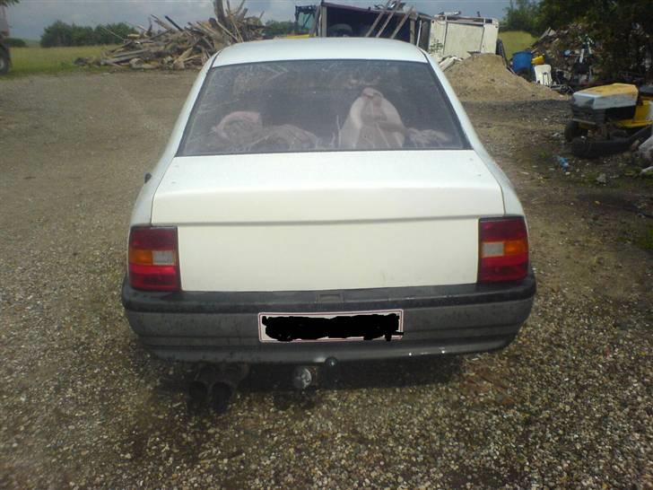 Opel vectra a rustet væk :D - den færdig lavet bagklap  billede 6