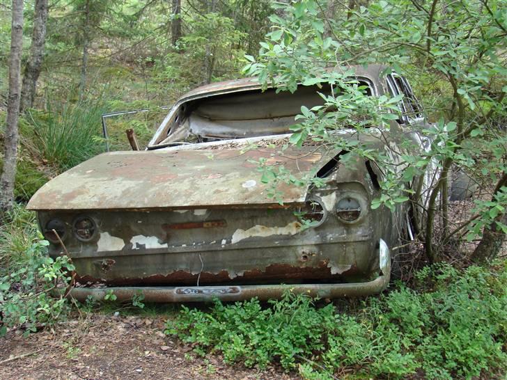 Opel Rekord B coupe' - fra en skov i sverige  snøft  billede 12