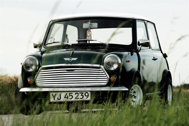 Mini Morris Mascot billede 3