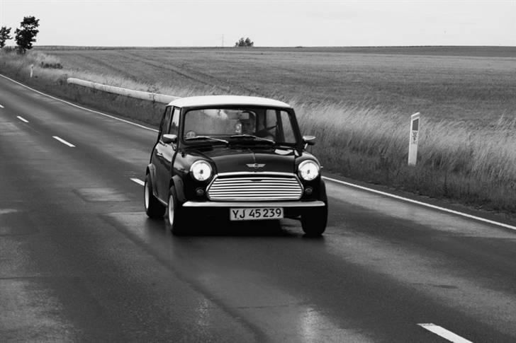 Mini Morris Mascot billede 10