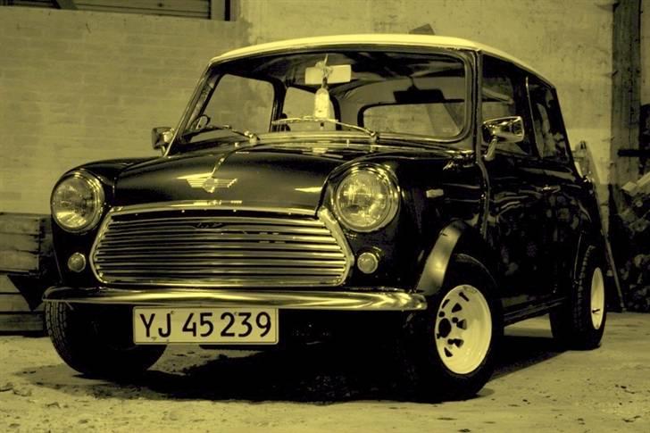 Mini Morris Mascot billede 12