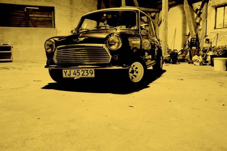 Mini Morris Mascot billede 13