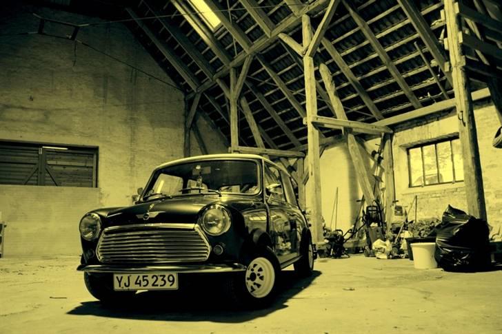 Mini Morris Mascot billede 14