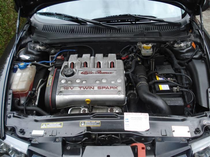 Alfa Romeo 156 RST2 1,8 TS SW - Stalden for 140 Italienske fuldblodshingste... 8D billede 13