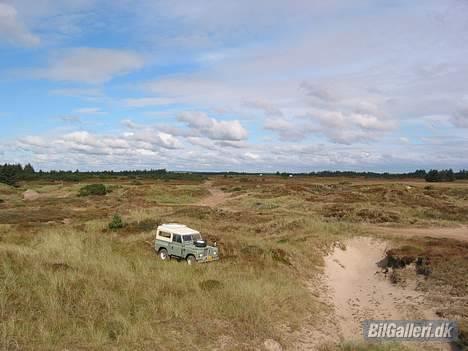Land Rover Serie III 88" - Oksbøl terrænet kan være meget stort, HJÆÆÆLP!!!!! billede 5