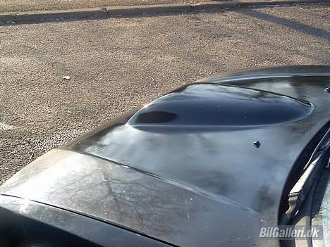 Honda Civic 16v --SOLGT-- billede 4