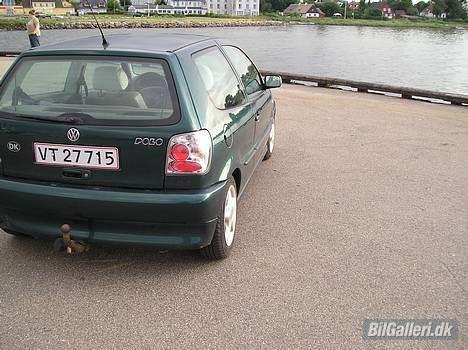 VW Polo 6N solgt billede 3
