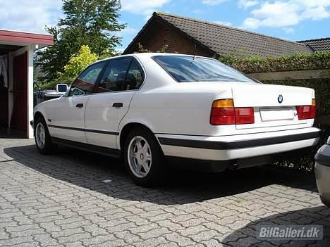 BMW 518i - Sommer billede 1