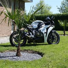 Audi Q7 S line SOLGT