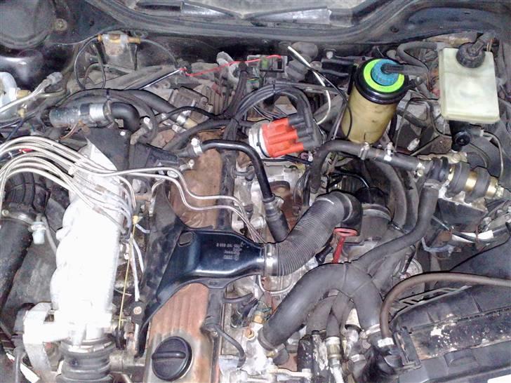 Audi 200 Turbo Quattro SOLGT billede 19