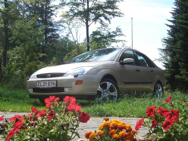 Ford Ghia Focus (Solgt) - inden øjenbryn og sænkning billede 4