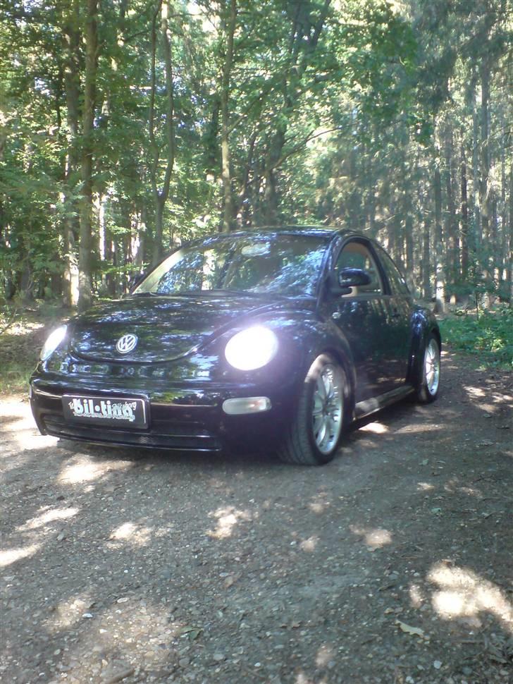 VW New Beetle SOLGT! billede 2