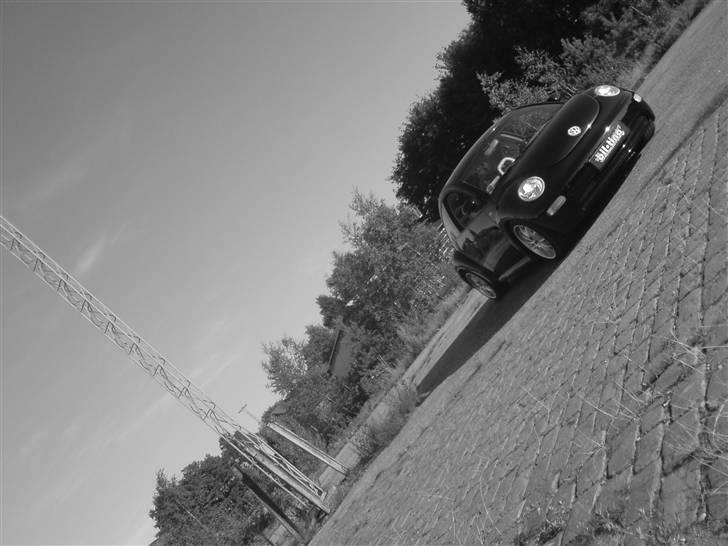 VW New Beetle SOLGT! billede 8