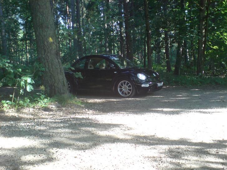 VW New Beetle SOLGT! billede 15