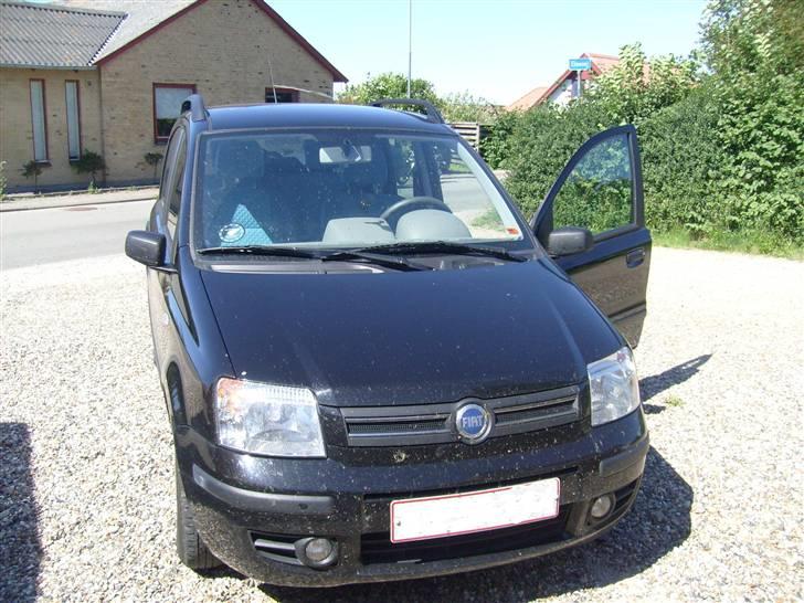 Fiat Panda 1,2 dymanic SOLGT. billede 2
