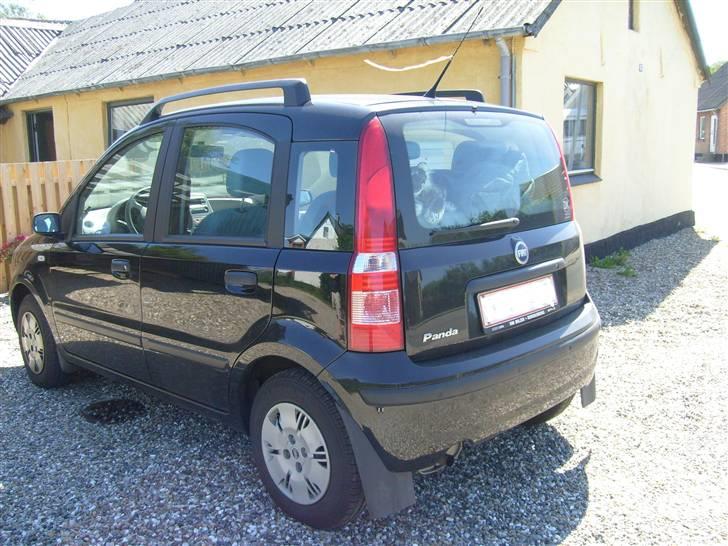 Fiat Panda 1,2 dymanic SOLGT. billede 4