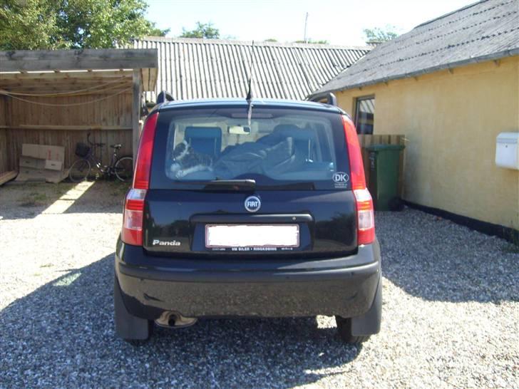 Fiat Panda 1,2 dymanic SOLGT. billede 5