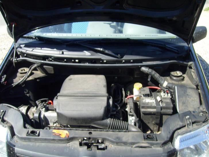 Fiat Panda 1,2 dymanic SOLGT. billede 6