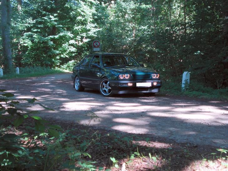 VW Vento solgt billede 12