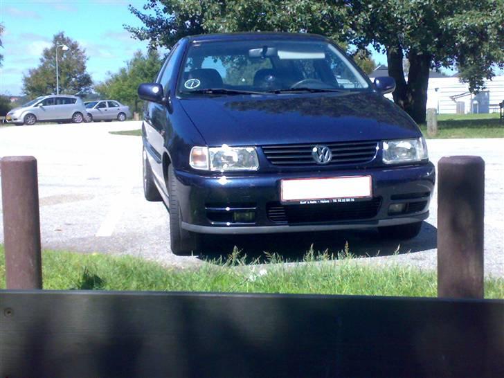 VW polo 6n billede 1