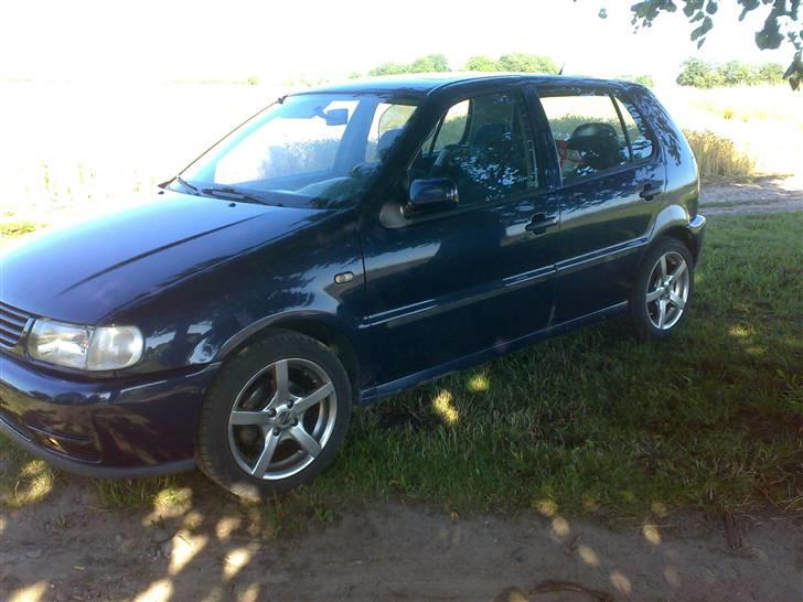 VW polo 6n billede 5