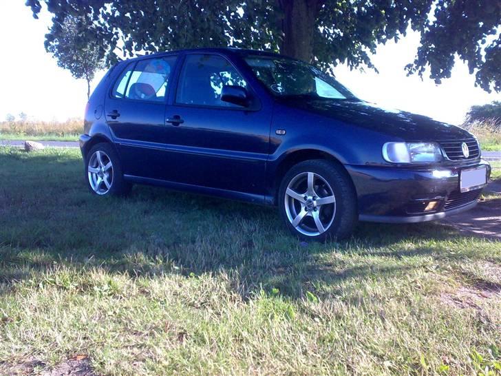 VW polo 6n billede 6