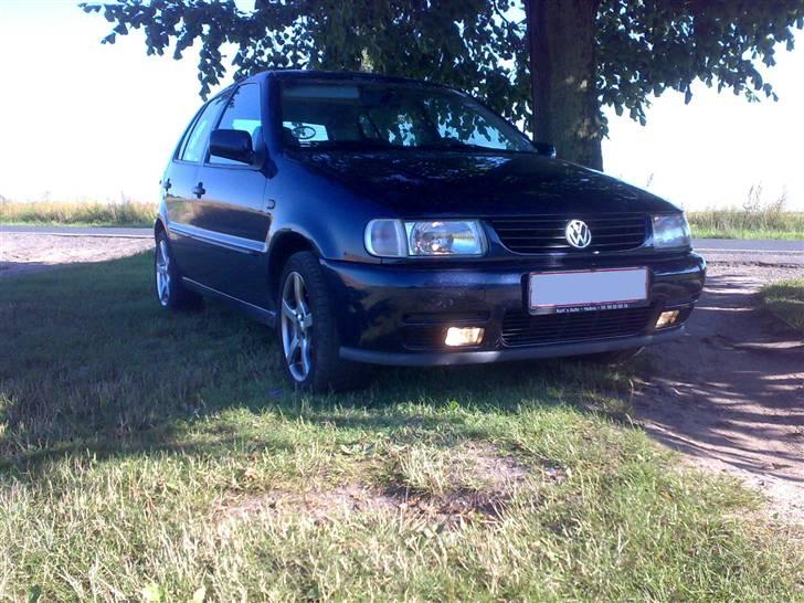 VW polo 6n billede 8