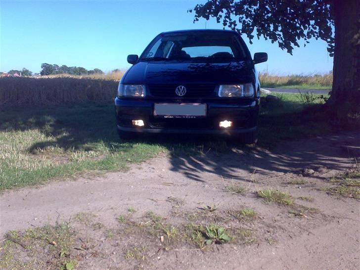 VW polo 6n billede 9