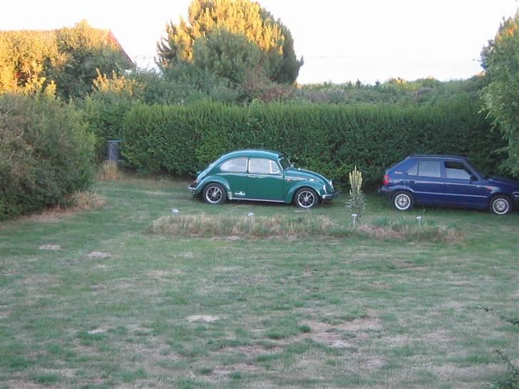 VW bobbel type 1 billede 5