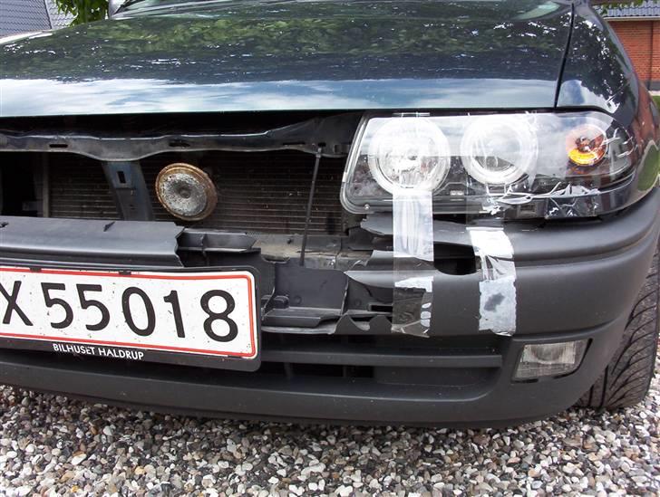 Opel Astra F har den ikke mere  - det var en stor hare. øvøv billede 18