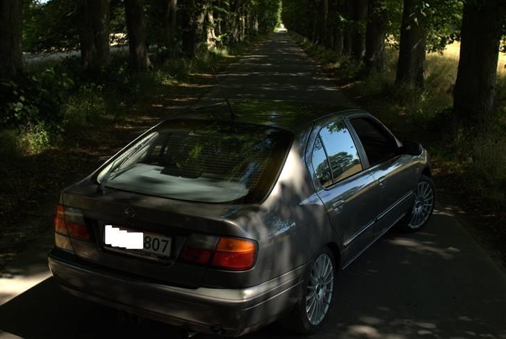 Nissan Primera Gx 1,6 - Sommer 08  ( Foto- Steffen H) billede 9