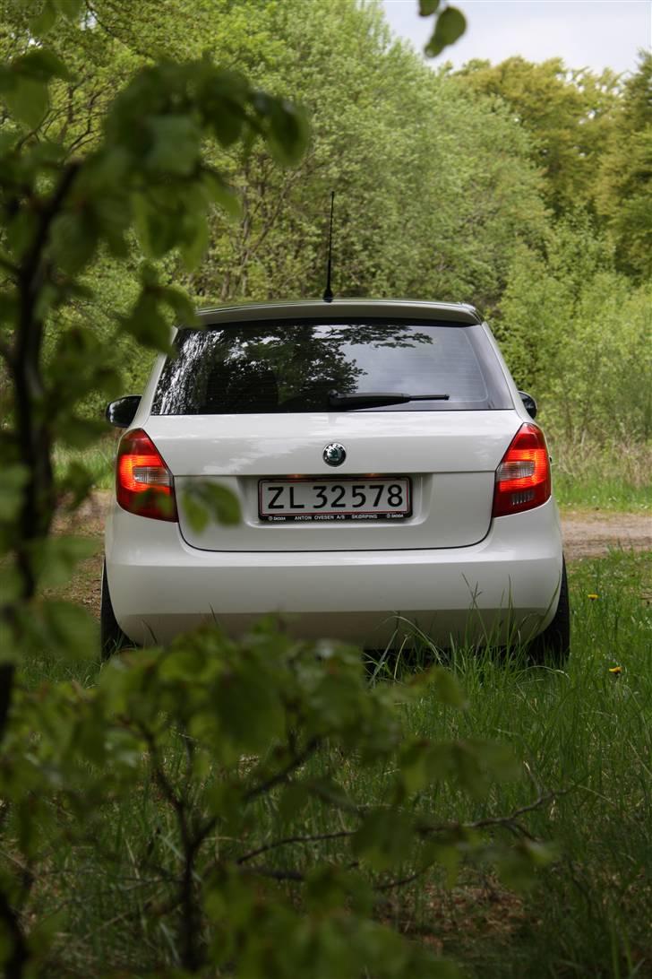 Skoda Fabia Greenline billede 9