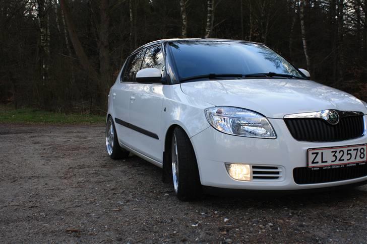 Skoda Fabia Greenline billede 12