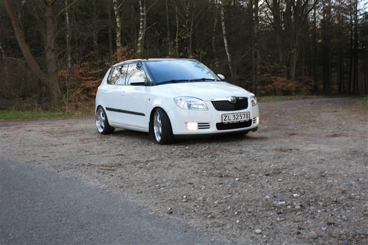 Skoda Fabia Greenline billede 13