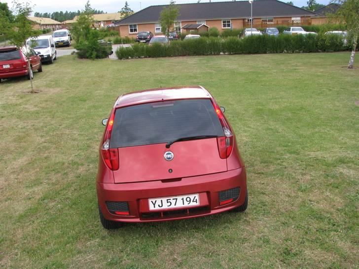 Fiat Punto Sporting billede 17