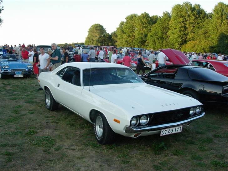 Dodge Challenger billede 1