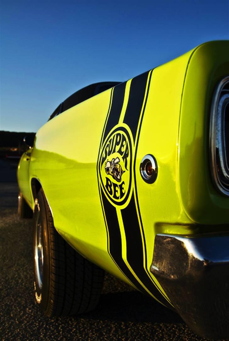 Dodge Coronet "super bee" - "Super Bee" Logo tak til Thomas Project-nexus for billeder på vejle havn billede 10