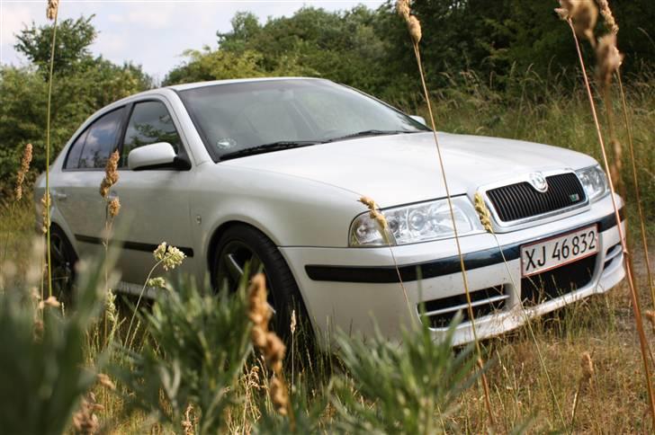 Skoda Octavia 1,8T (solgt) billede 3