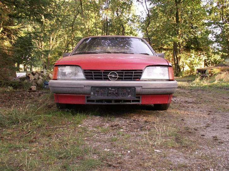 Opel Rekord E2 - Den skal nok komme til at smile igen billede 1
