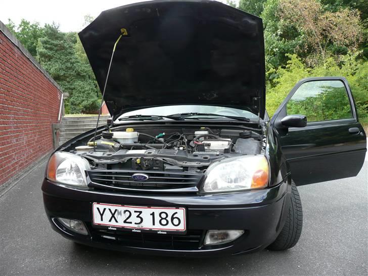 Ford Fiesta 1,25 Ghia (SOLGT) billede 13