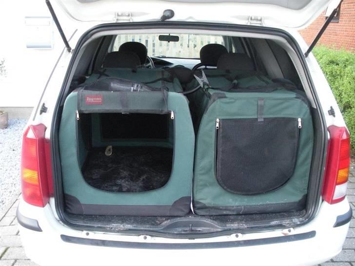 Ford Focus stc 1,8 tdci Trend billede 13