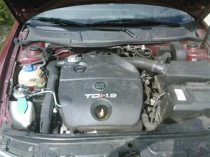 Seat Toledo - Trænger til en motorvask:) billede 5