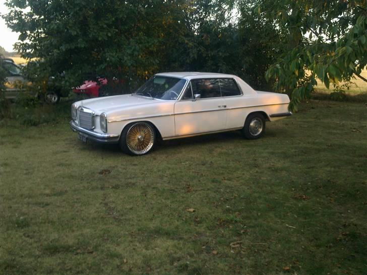 Mercedes Benz W115 250ce /8 billede 7